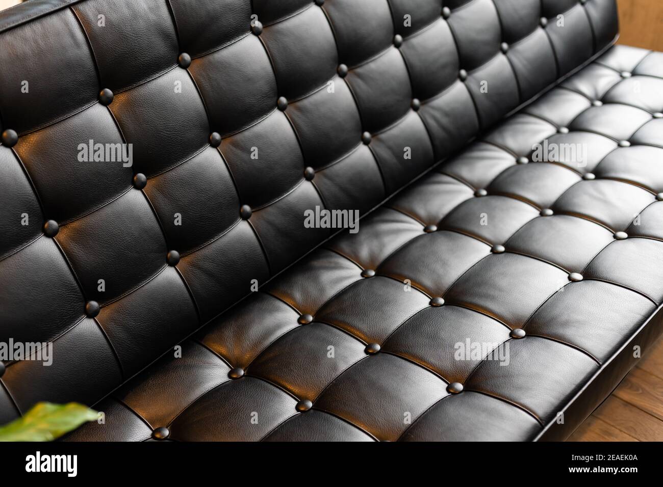 Dark leather sofa with plant Stock Photo