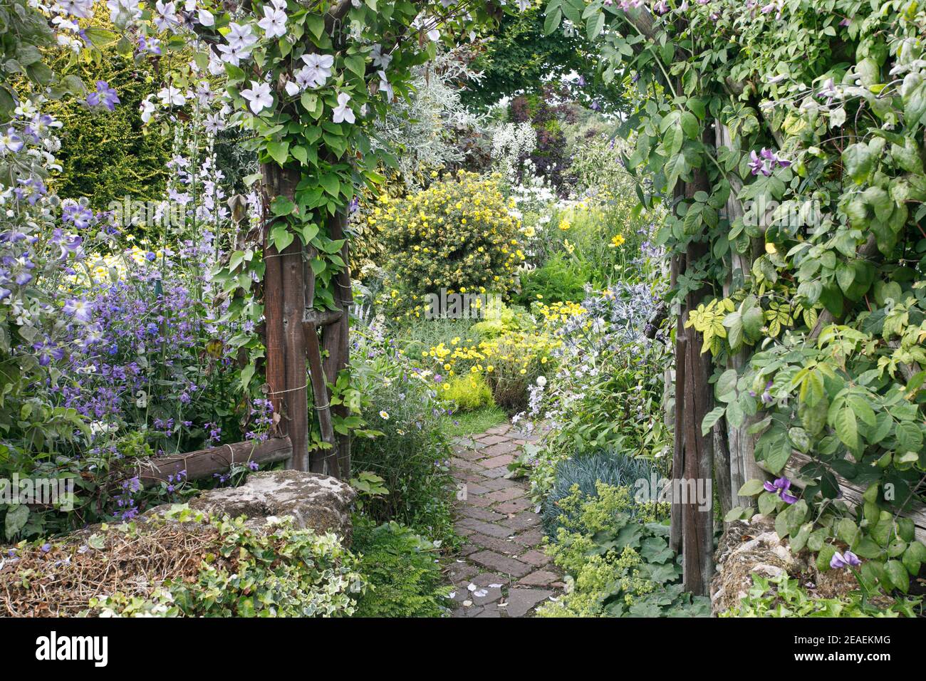 Clematis Arch High Resolution Stock Photography and Images Alamy