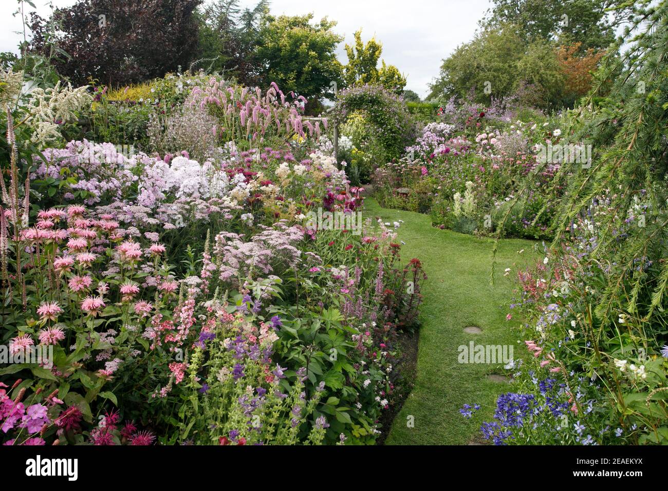 profusion of pink summer flowers at Grafton Cottage, BartonUnder