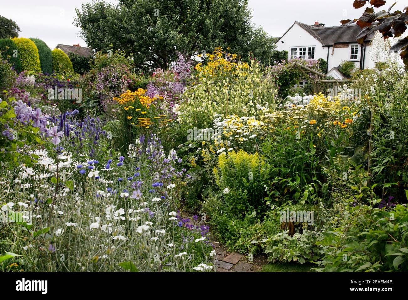 profusion of summer flowers at Grafton Cottage, Barton-Under-Needwood, Staffordshire, NGS, July Stock Photo