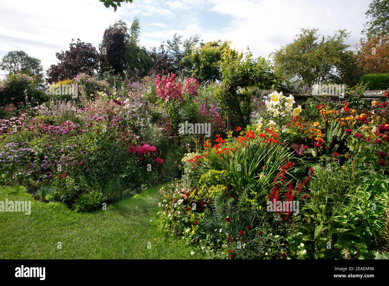 profusion of hot coloured summer flowers at Grafton Cottage, Barton
