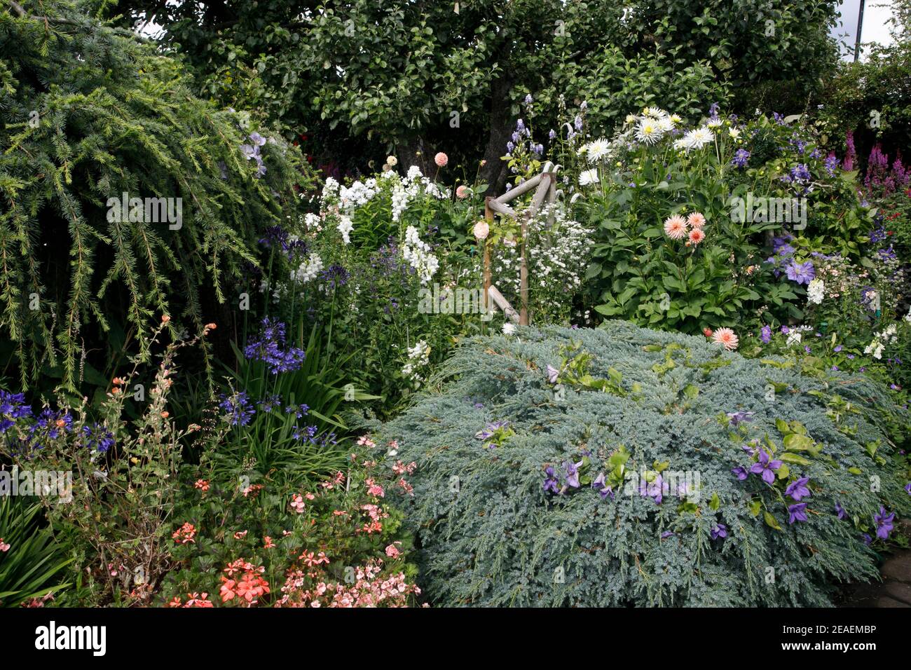 Barton under needwood hires stock photography and images Alamy