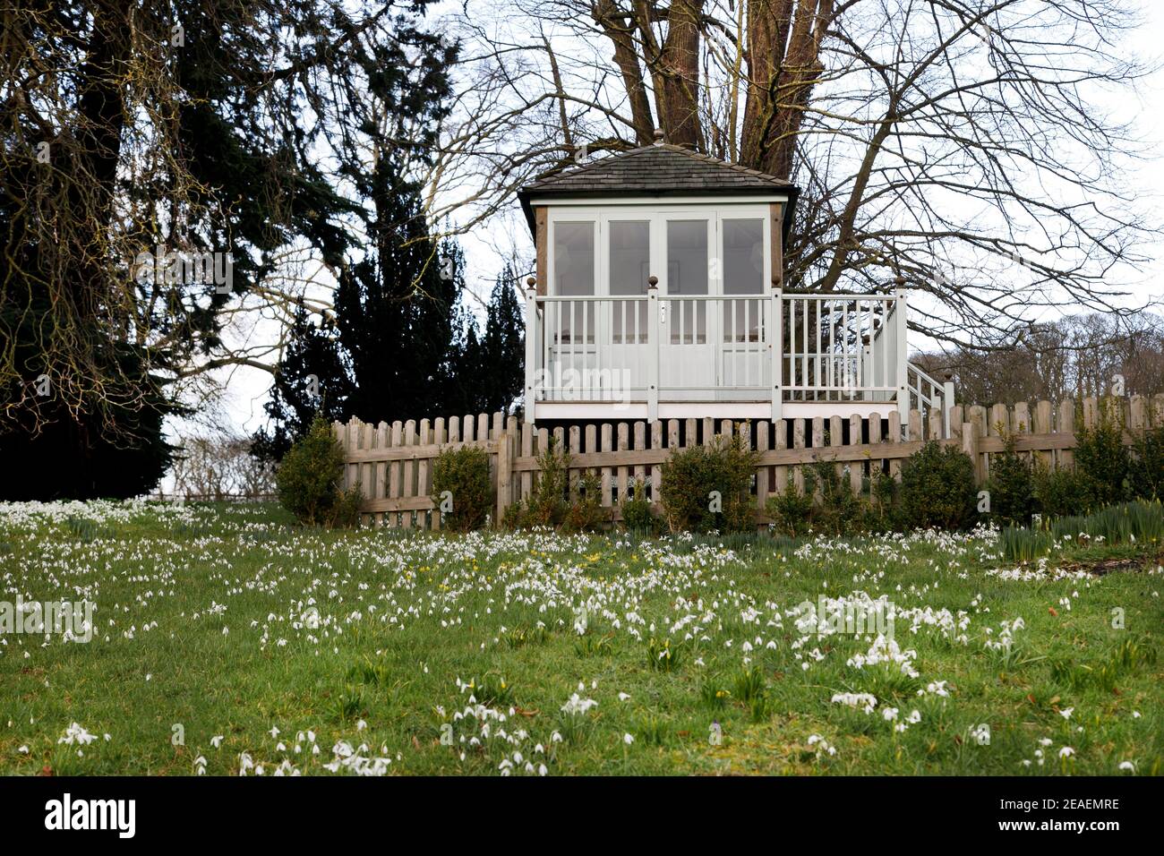 Summer house overlooking bank of snowdrops at Easton Walled Garden, Lincolnshire, February Stock Photo