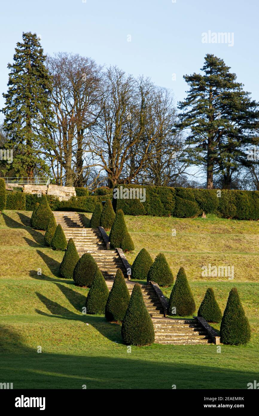 topiary yews line the steps at Easton Walled Garden, Lincolnshire, February Stock Photo