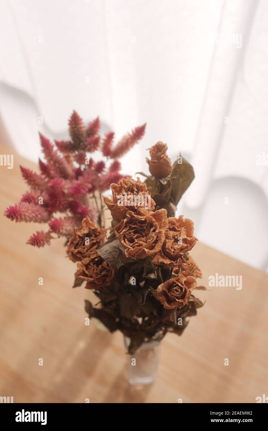 Vertical shot of beautiful dried roses and astilbe branches in a vase on the table Stock Photo