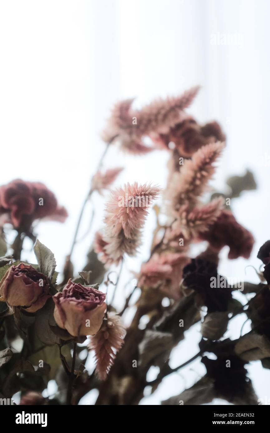 Vertical shot of beautiful dried roses, celosias, and astilbe branches in a vase on the table Stock Photo