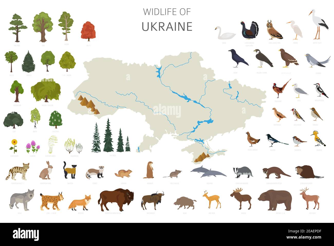 Flat design of Ukraina wildlife. Animals, birds and plants constructor elements isolated on white set. Build your own geography infographics collectio Stock Vector