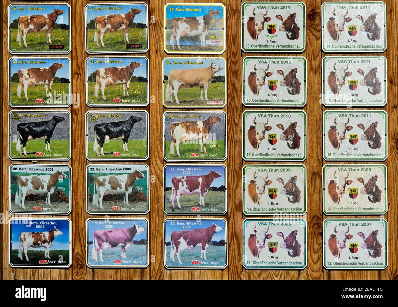 Award plaques in a cowshed, Sarnen, Switzerland Stock Photo