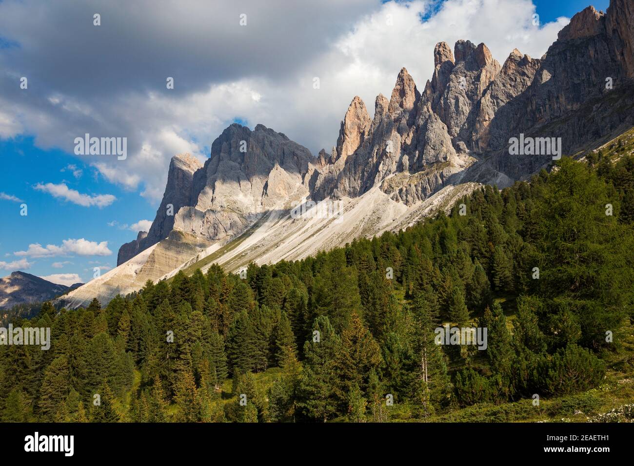 The Odle mountain group. Coniferous forest. Val di Funes, The Gardena Dolomites, South Tyrol, Italian Alps. Europe. Stock Photo