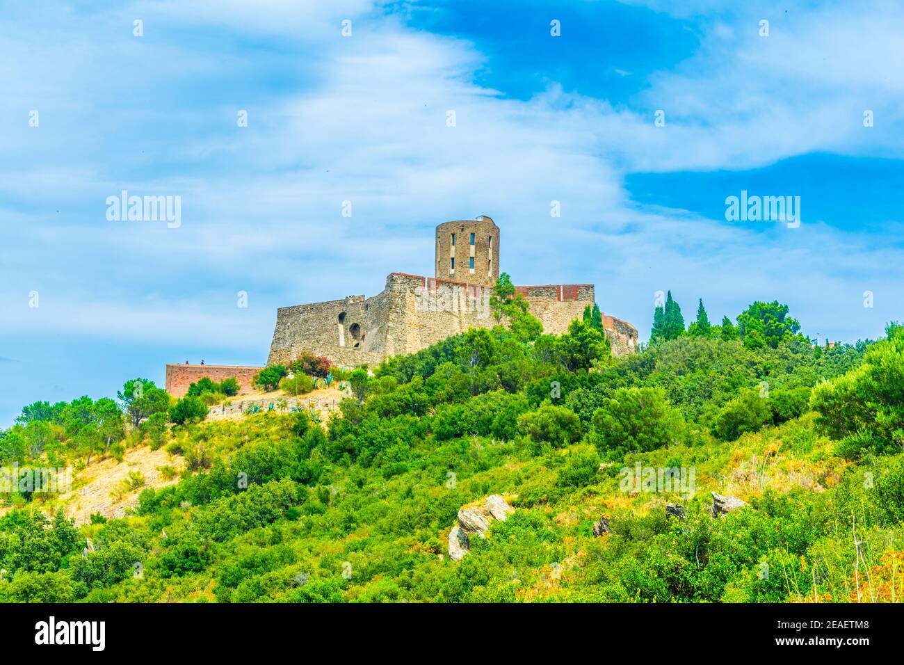 saint laurent backpack