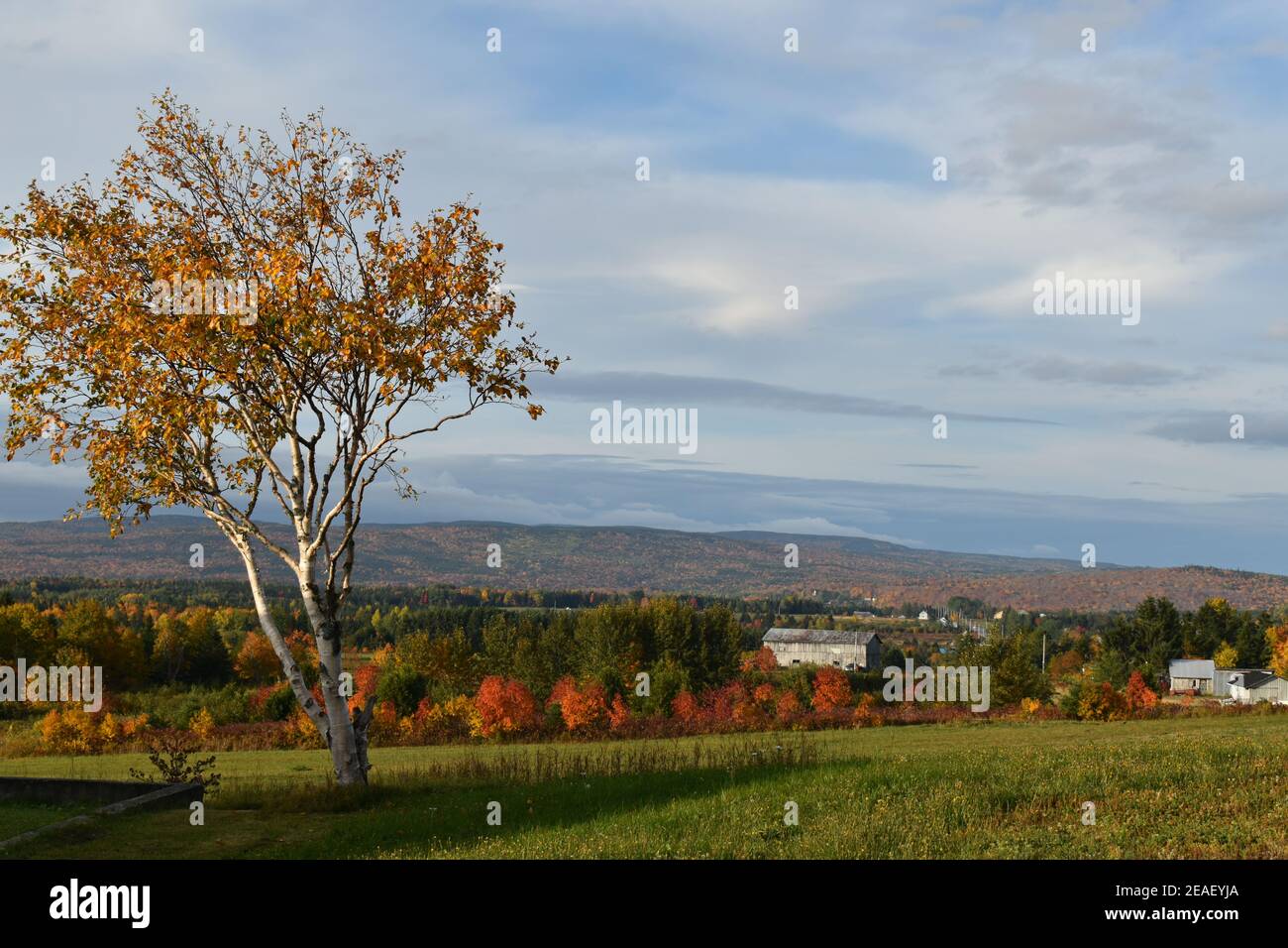 Une journée d'automne, SainteApolline, Québec Stock Photo Alamy