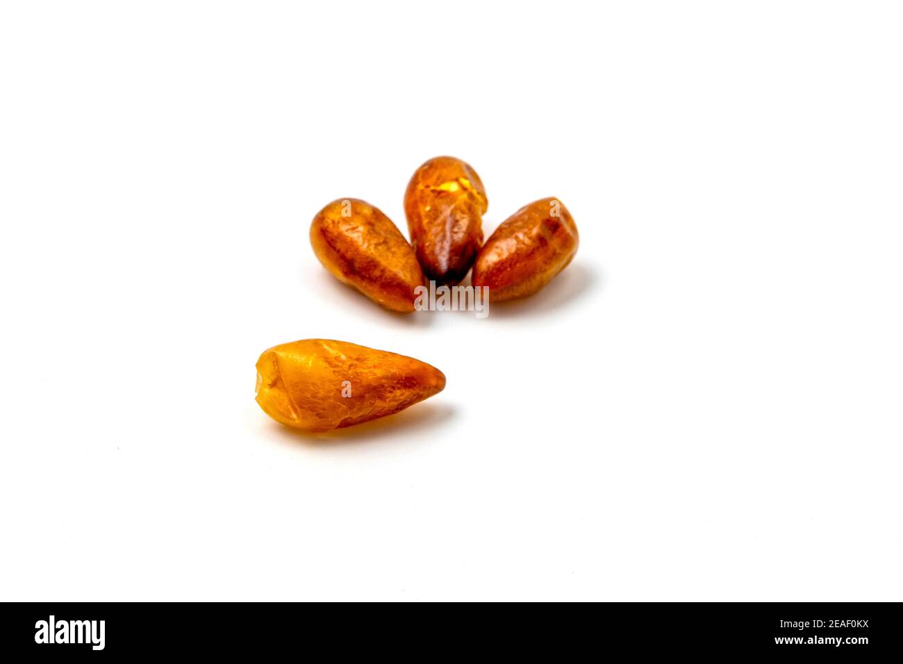 Pequin pepper (Capsicum annuum var. glabriusculum) on a white background Stock Photo