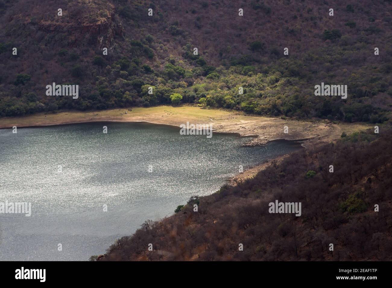 Sunlight on the forested shoreline of the Blyde dam, in the great escarpment of South Africa Stock Photo