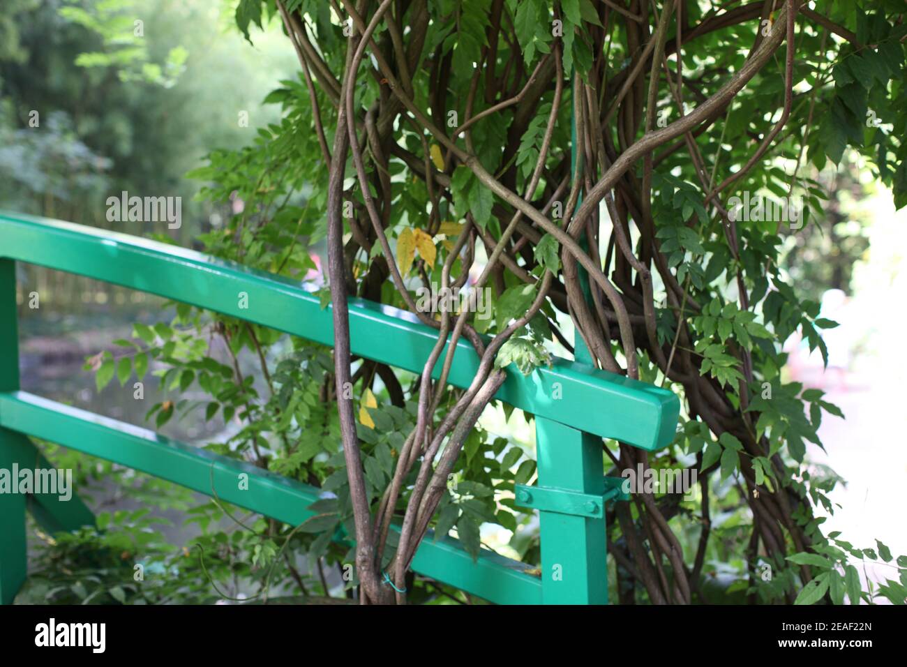 Monet's Garden Giverny Japanese Bridge High Resolution Stock