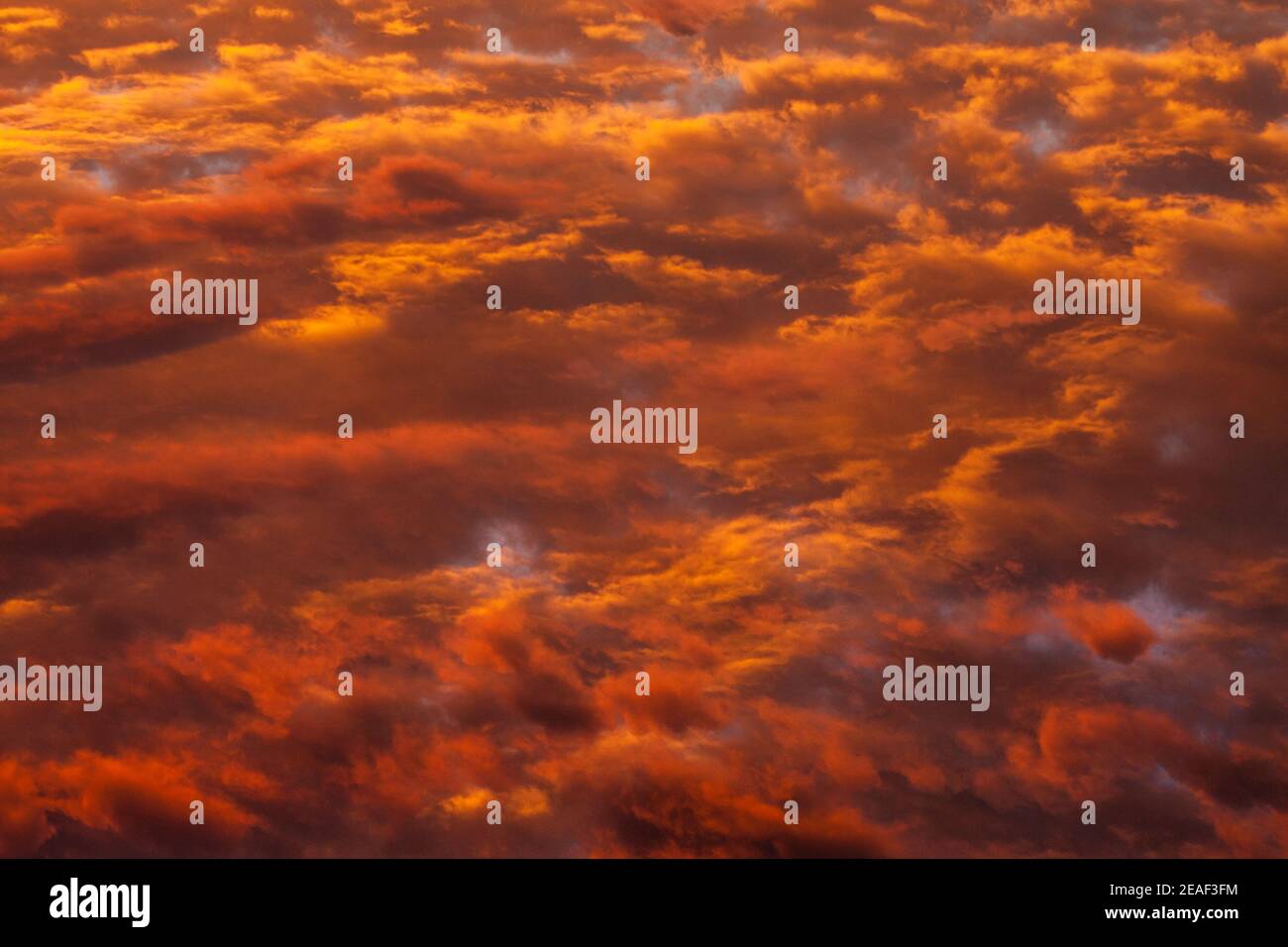 Stratocumulus clouds at sunset, Palmietpan Farm, Hertzogville, Free State Province, South Africa Stock Photo