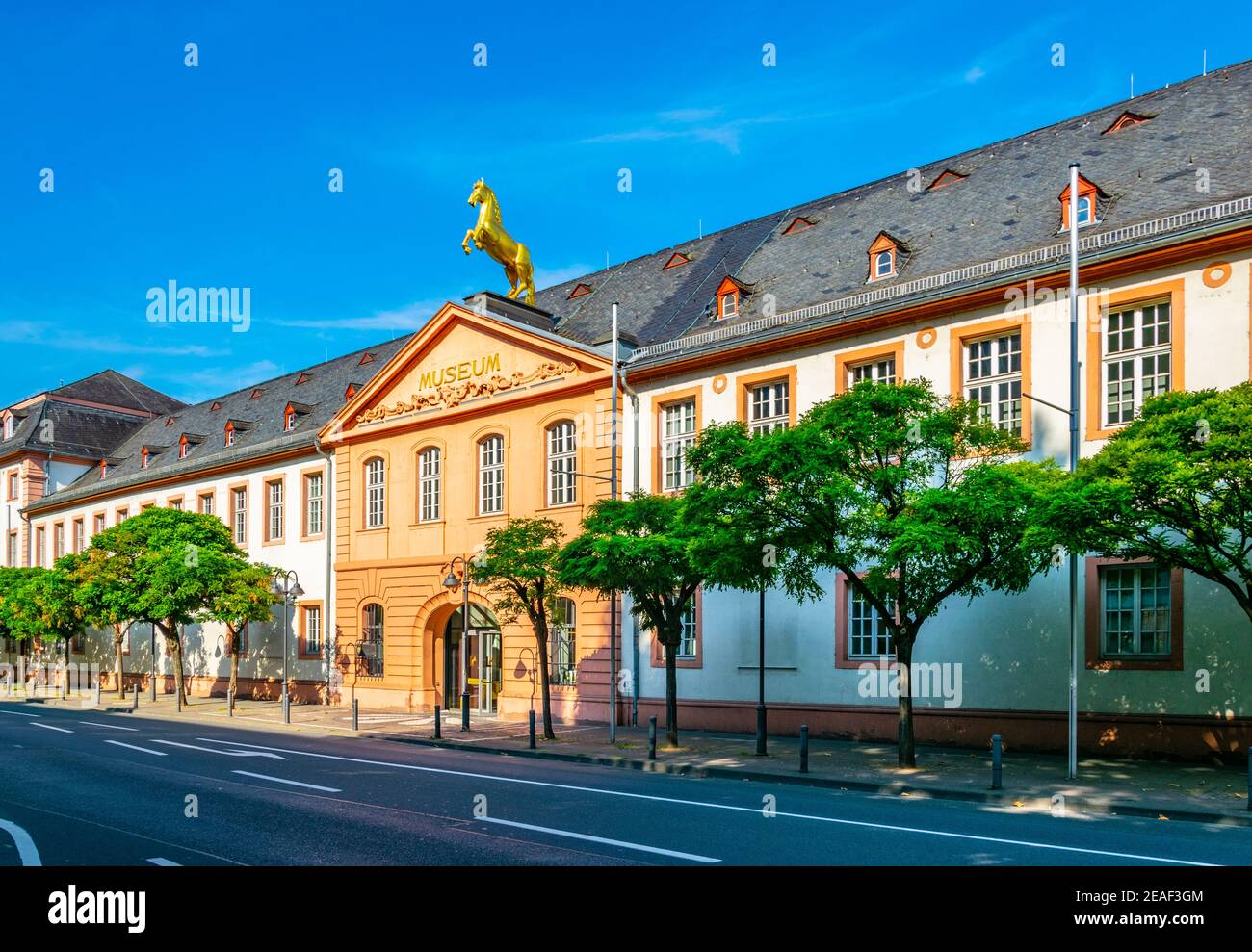 Landesmuseum in Mainz, Germany Stock Photo