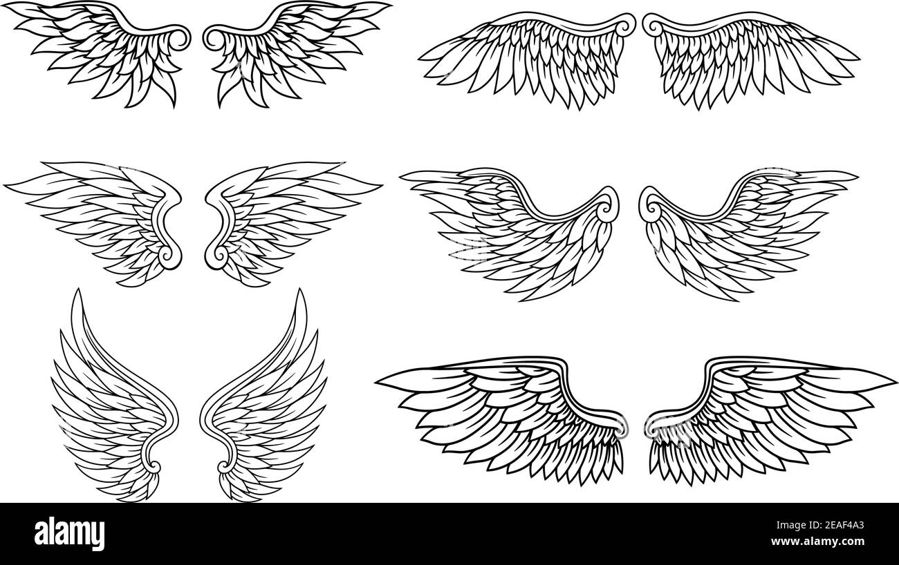 angel wings tattoo sketch