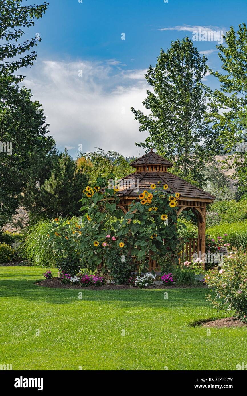 country lane gazebos on Gazebo Under Trees High Resolution Stock Photography And Images Alamy