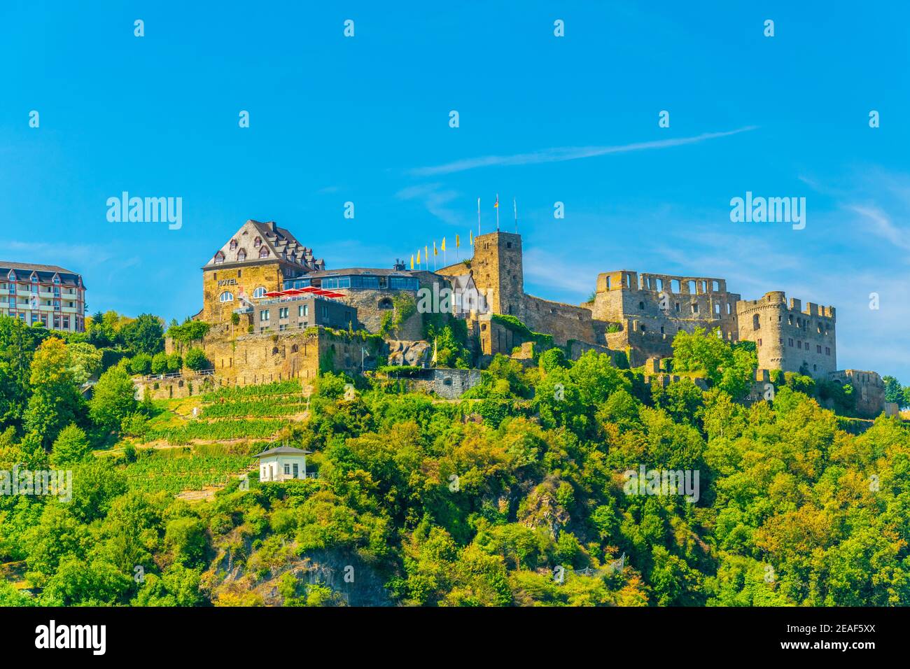 Rheinfels castle at St. Goar in Germany Stock Photo - Alamy