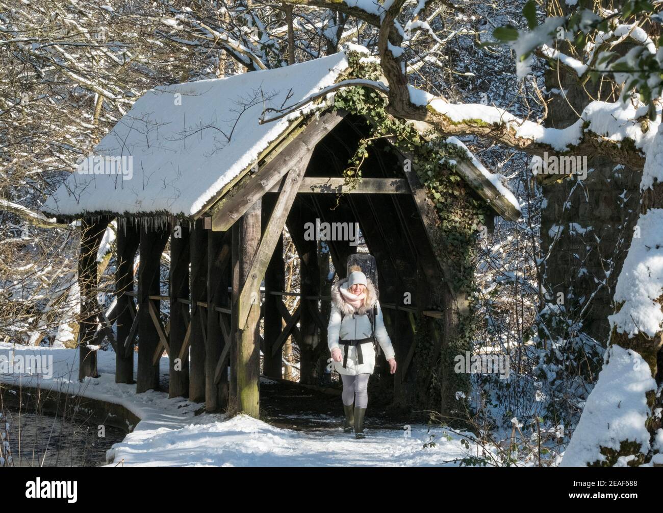 Livingston, West Lothian, Scotland. Weather: 9th February, 2021 Storm Darcy: Karen Beattie from East Calder walking in Almondell Country Park, West Lothian, Scotland, UK. .    Credit: Ian Rutherford/Alamy Live News. Credit: Ian Rutherford/Alamy Live News Stock Photo