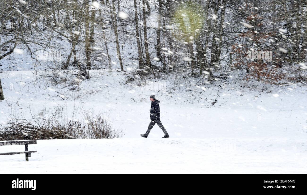 Hay Lodge Park, Peebles, Scottish Borders. UK. 9th Feb 21 Walker caught in a snow shower during their exercise in Hay Lodge Park, Peebles. Credit: eric mccowat/Alamy Live News Stock Photo