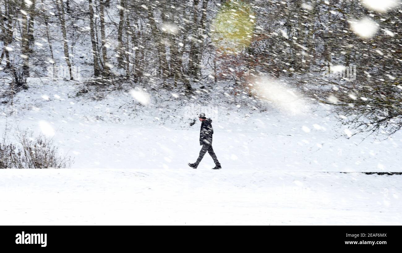 Hay Lodge Park, Peebles, Scottish Borders. UK. 9th Feb 21 Walker caught in a snow shower during their exercise i in Hay Lodge Park, Peebles. Credit: eric mccowat/Alamy Live News Stock Photo