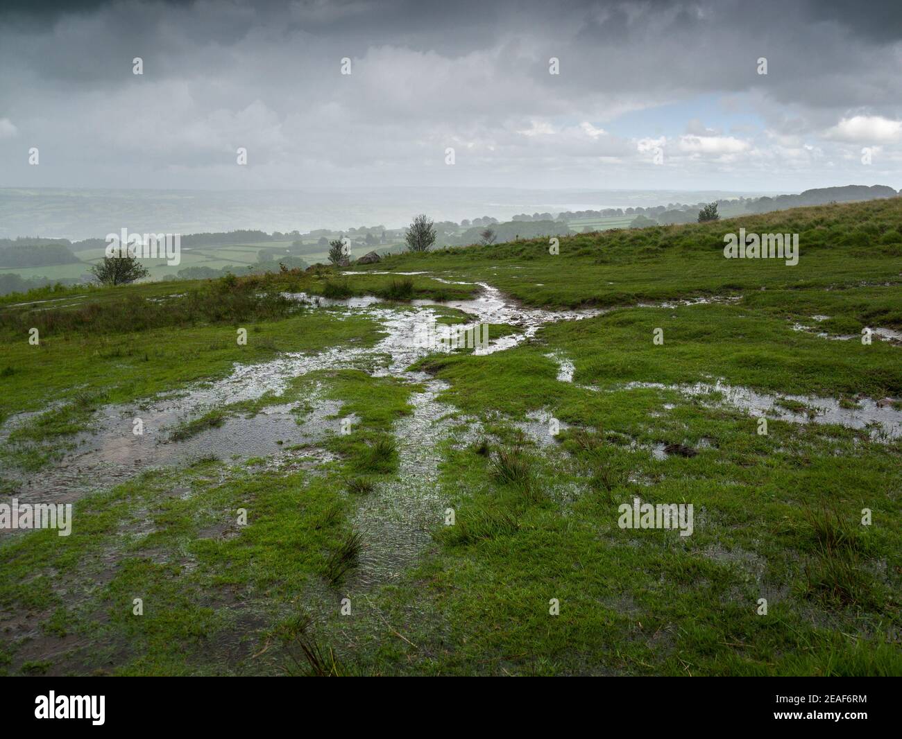 The waterlogged ground at Black Down in the Mendip Hills during a summer rainstorm, Somerset, England. Stock Photo