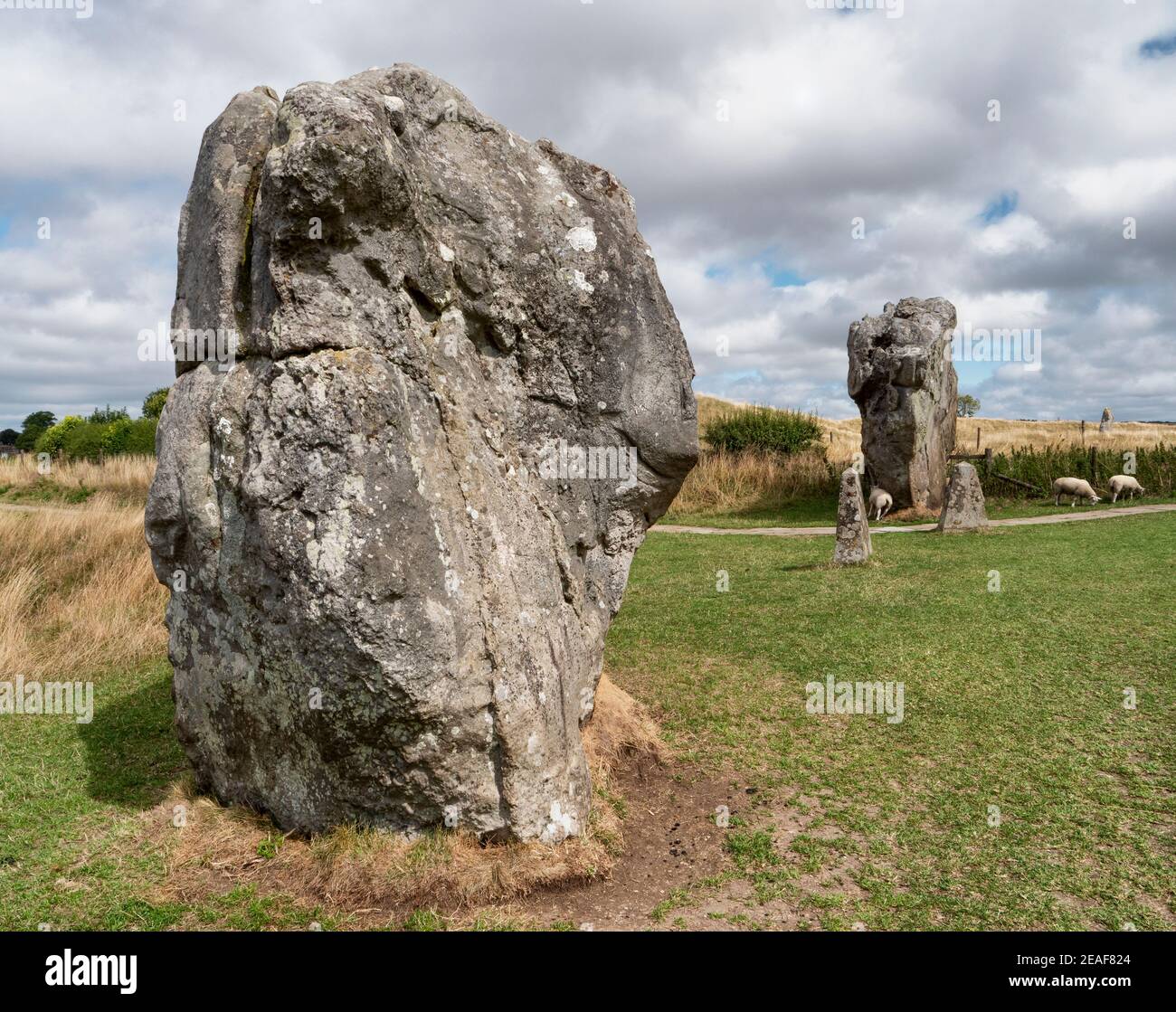 Megaliths within the perimeter earthwork of Avebury UK the world's largest neolithic stone circle Stock Photo