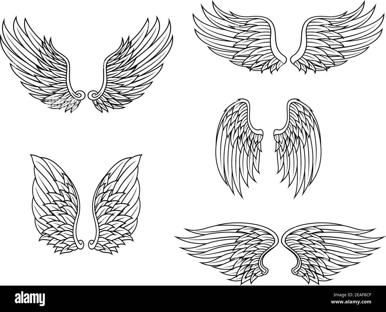 Heraldic wings set isolated on white background for design Stock Vector ...