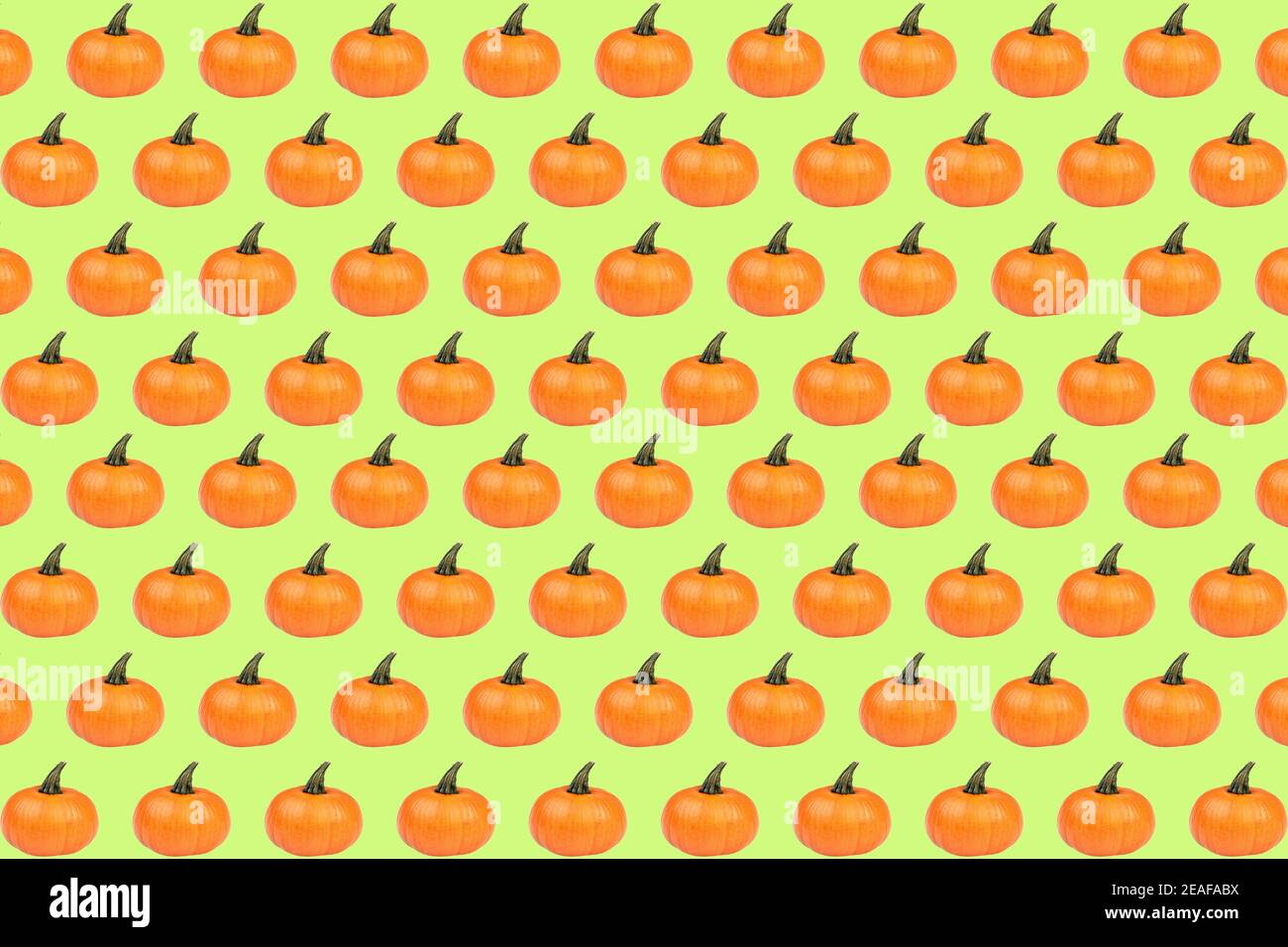 Abstract pattern made from Pumpkins on the green background. Pumpkin quality pattern. Stock Photo
