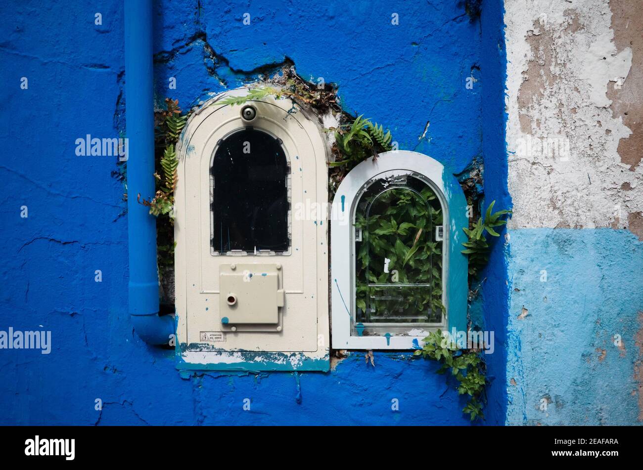 Old abandoned electrical box in blue wall with green pants growing inside.  La Boca district in Buenos Aires, Argentina Stock Photo - Alamy