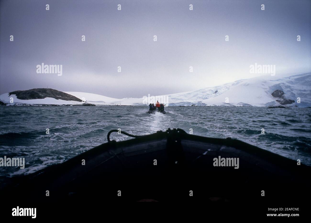 Two zodiacs speeding over water to go for a visit on land on Antarctica Stock Photo