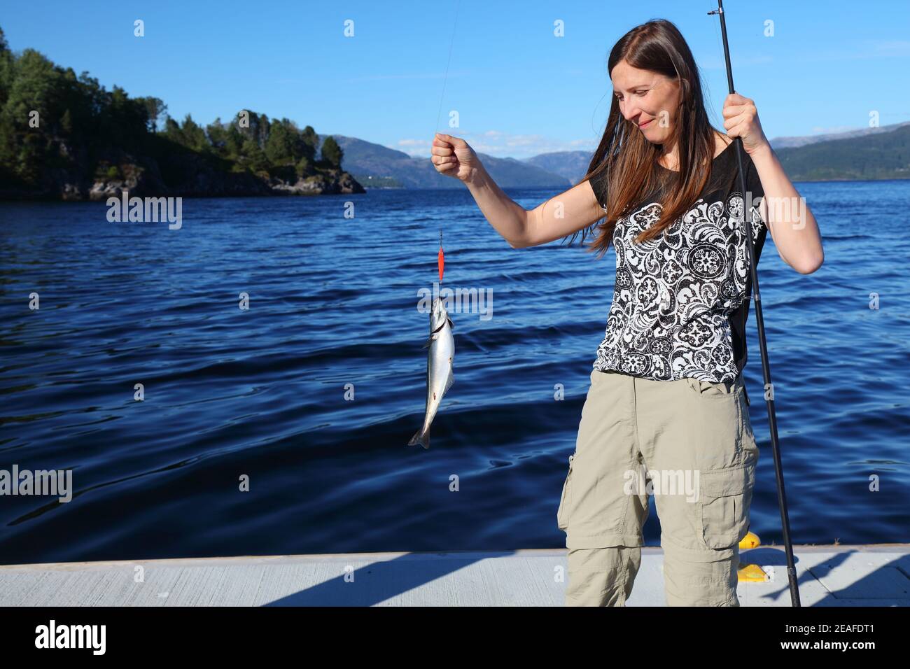 Norway fishing - freshly caught fish. Female angler with a coalfish in Knarvik, Vestland. Stock Photo