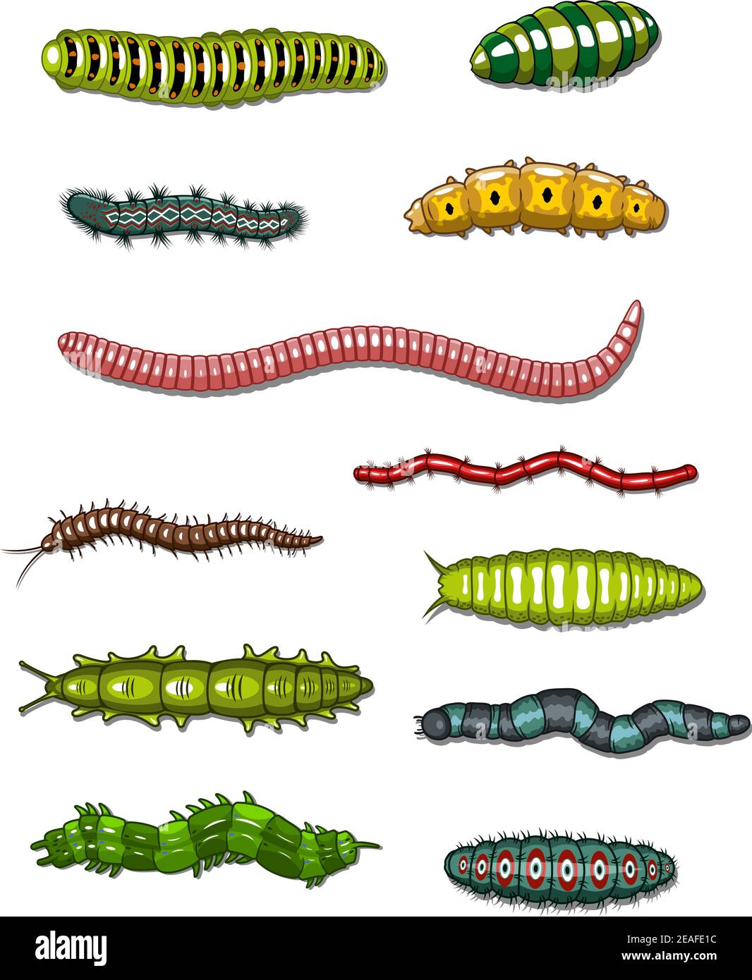 Caterpillars and worms set isolated on white background Stock Vector