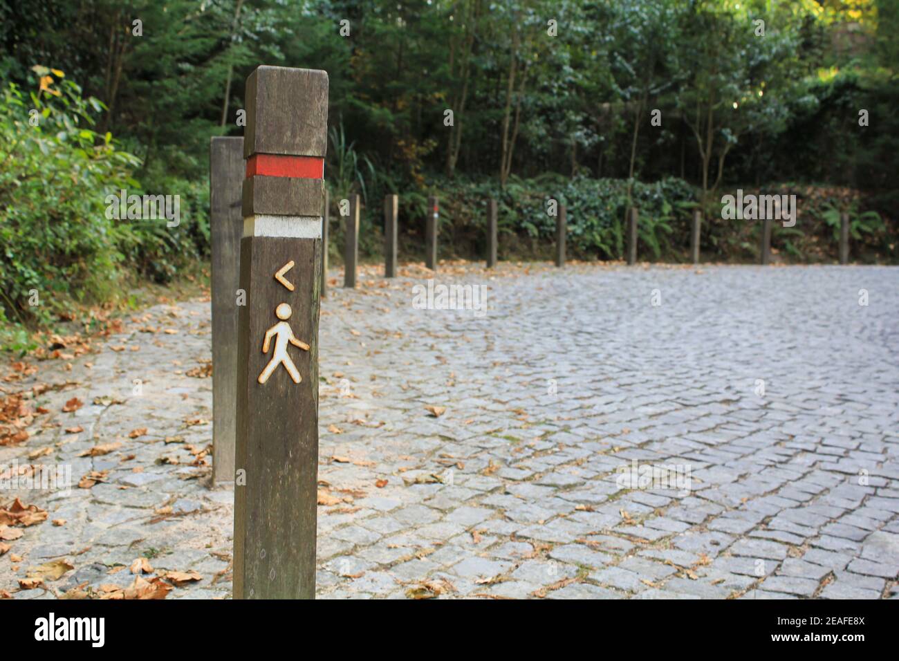 Trail marking sign painted on post Stock Photo Alamy