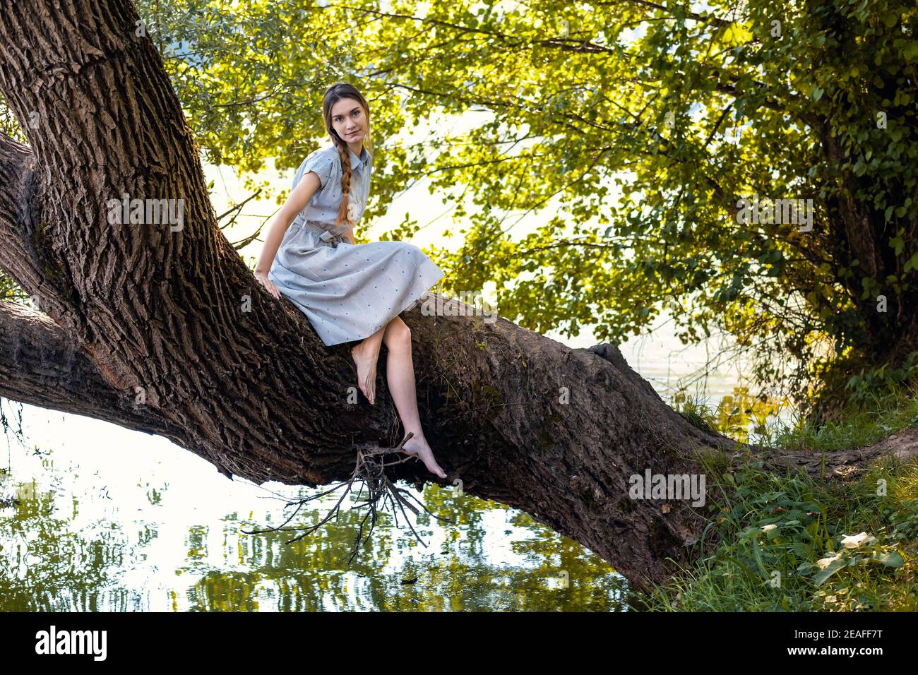 Young girl in blue summer dress sitting on a tree above the river Stock ...