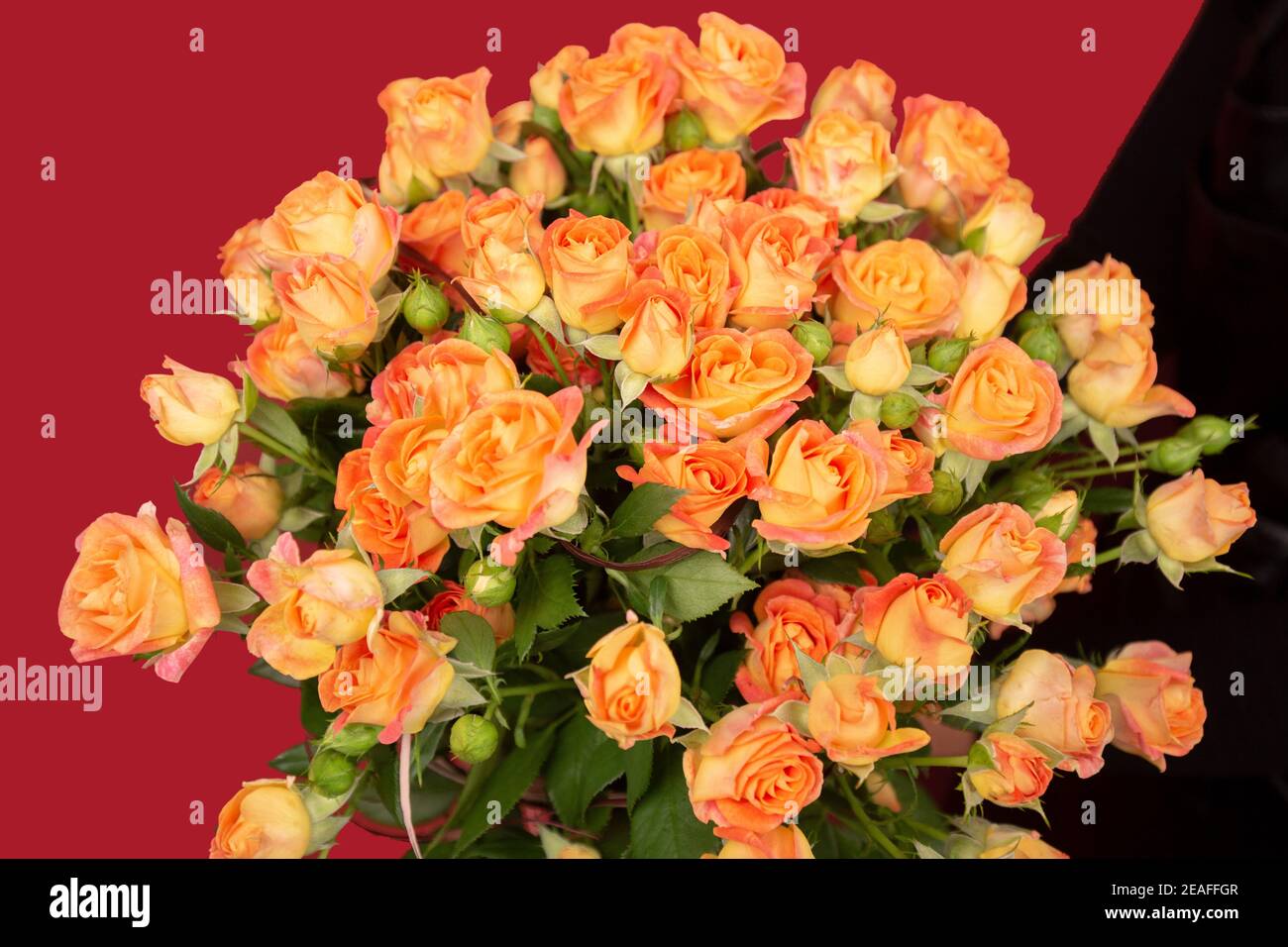 Beautiful bunch roses hi-res stock photography and images - Alamy