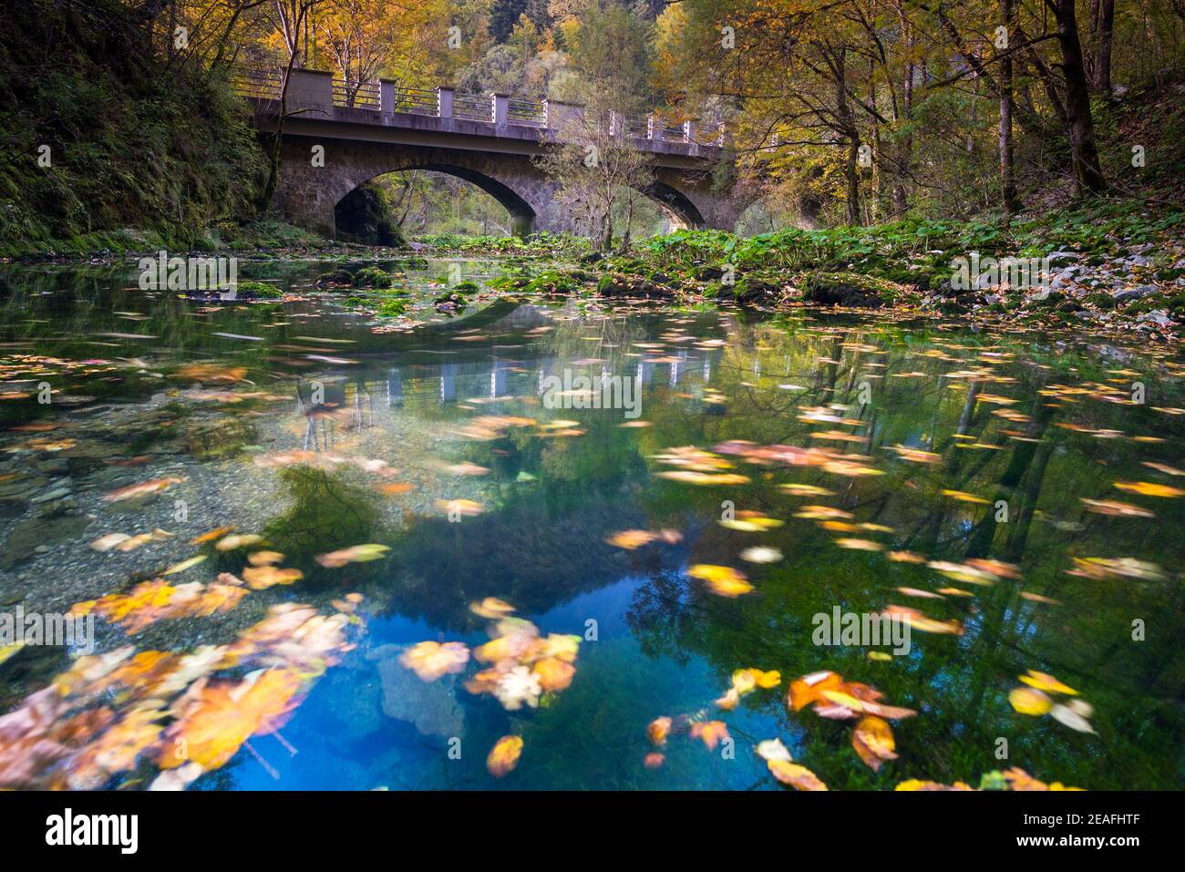 Divje Jezero near Idrija, Wild lake, Slovenia Stock Photo