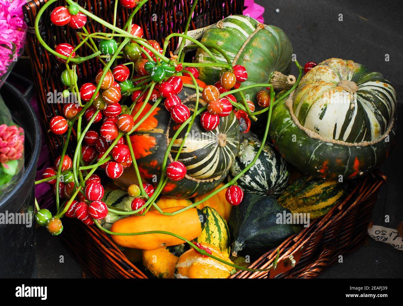 Basket of Exotic, Colourful Squashes, Fruit and Veg Shop, Broadway Market, Hackney, London Stock Photo
