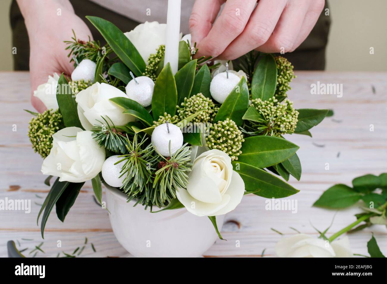 Florist at work: woman shows how to make floral arrangement with white roses, skimmia, an evergreen shrub, and fir twigs. Step by step, tutorial. Stock Photo
