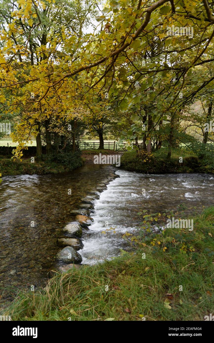 Stepping stones on the River Derwent Barrowdale  Lake District Cumbria Stock Photo
