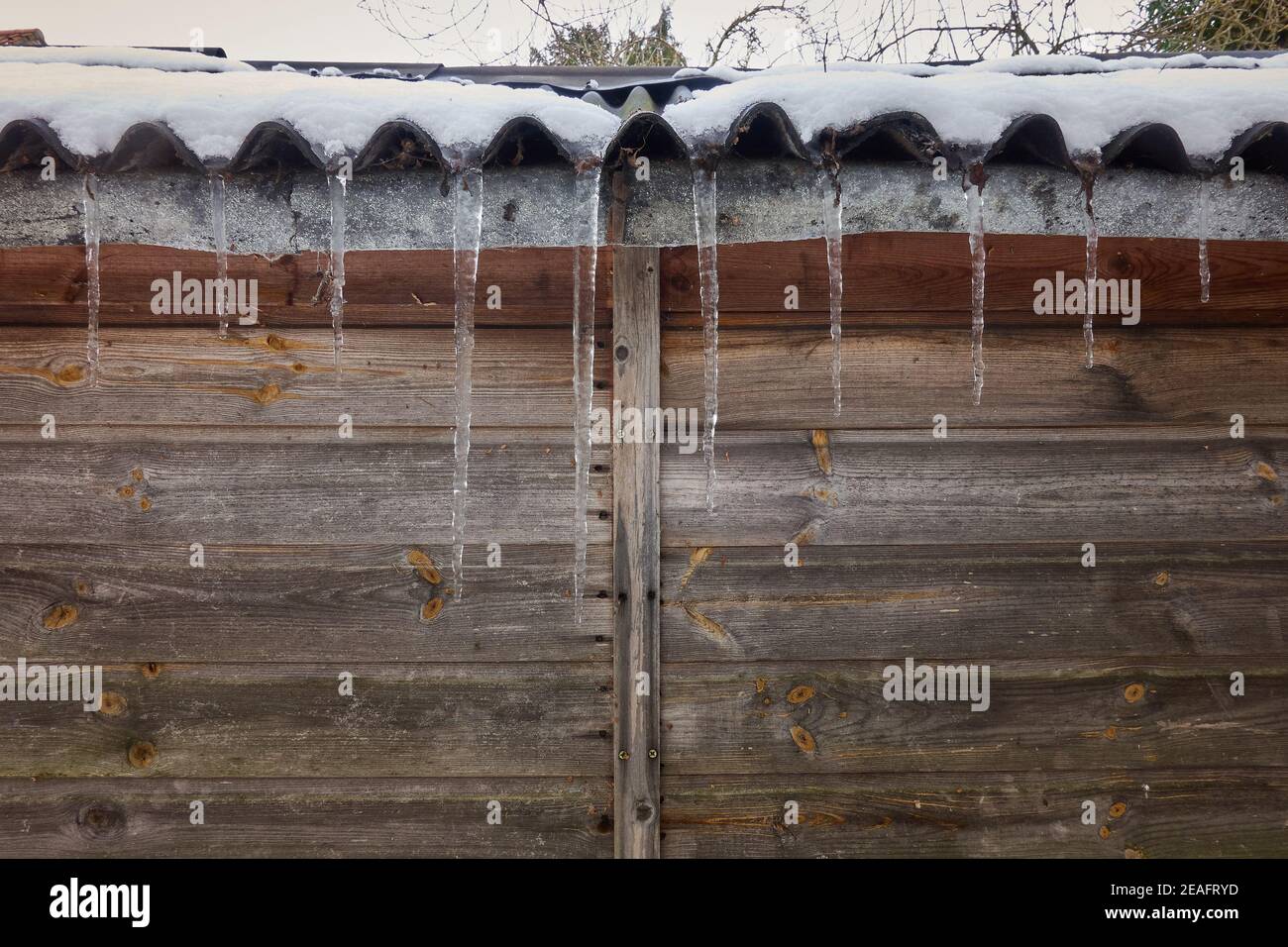 Large frozen icicles hanging of the side of a corrugated garden shed roof during cold winters conditions in February 2021 Lincolnshire UK Stock Photo