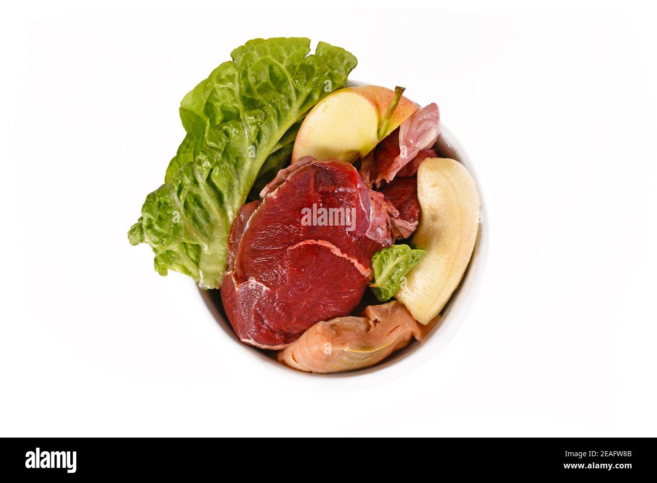 Top view of Dog bowl with mixture of biologically appropriate raw food containing meat chunks, fish, fruits and vegetables isolated on white backgroun Stock Photo