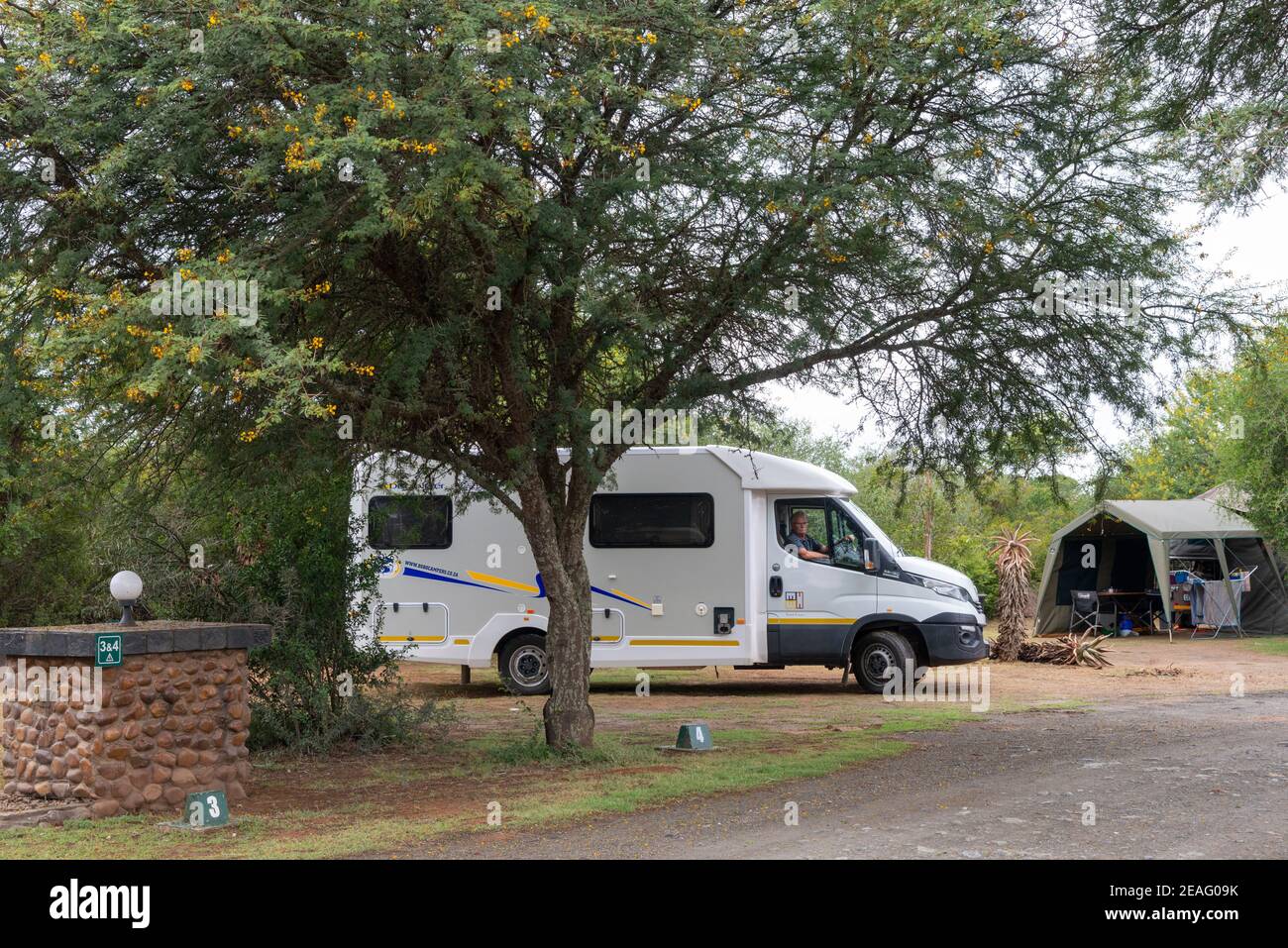 Motorhome camping among large Aloe Vera plants in the Bontebok National  Park, Swellendam, South Africa Stock Photo - Alamy