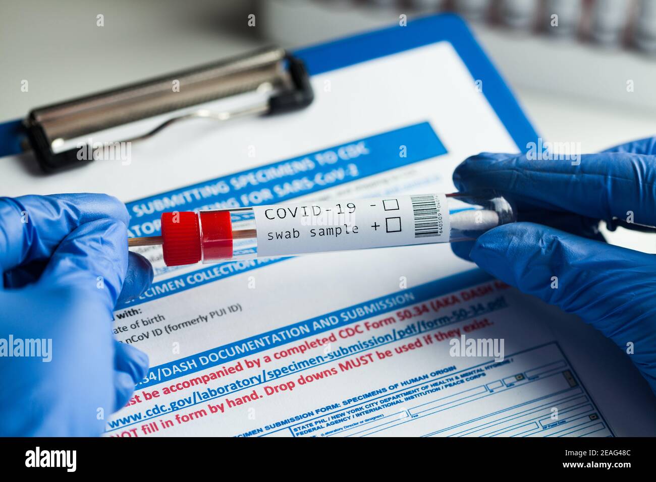 rt-PCR COVID-19 virus disease diagnostic test,lab technician wearing blue protective glove holding test tube with swabbing stick,swab sample equipment Stock Photo