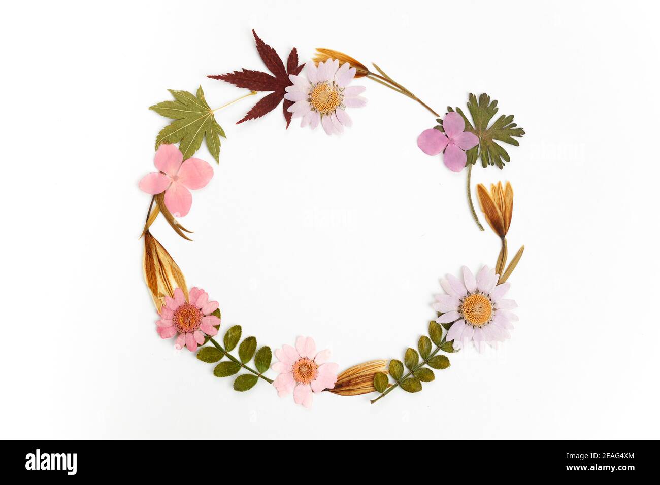 Wreath made from dry leaves and flowes on white background. Dry flowers ...