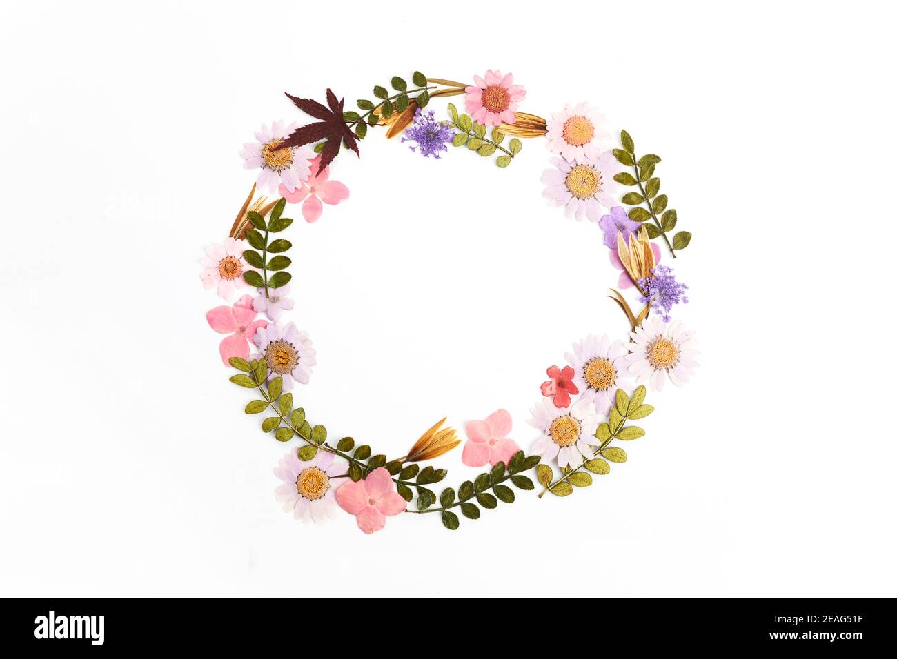 Wreath made from dry leaves and flowes on white background. Dry flowers ...