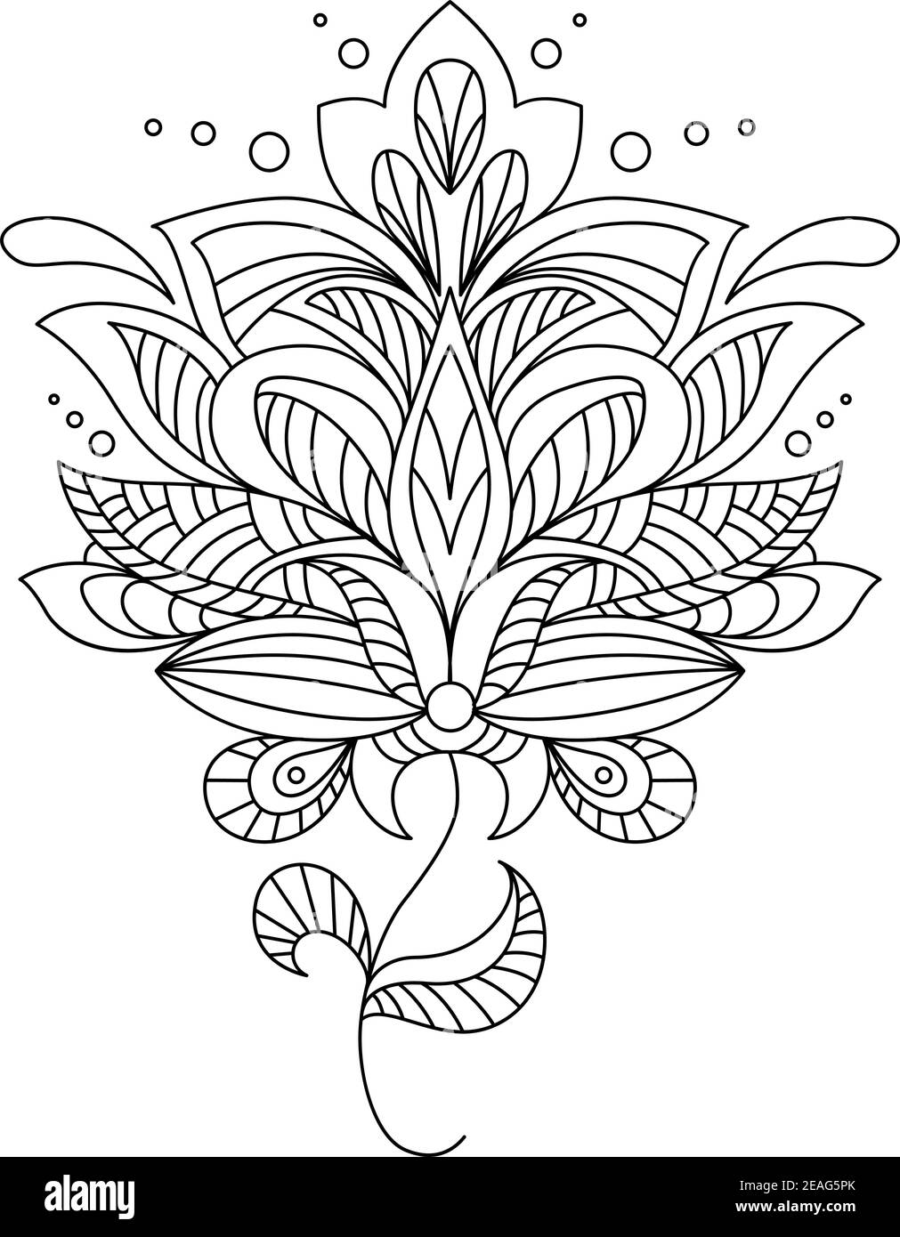 Intricate calligraphic floral design element in a black and white ...