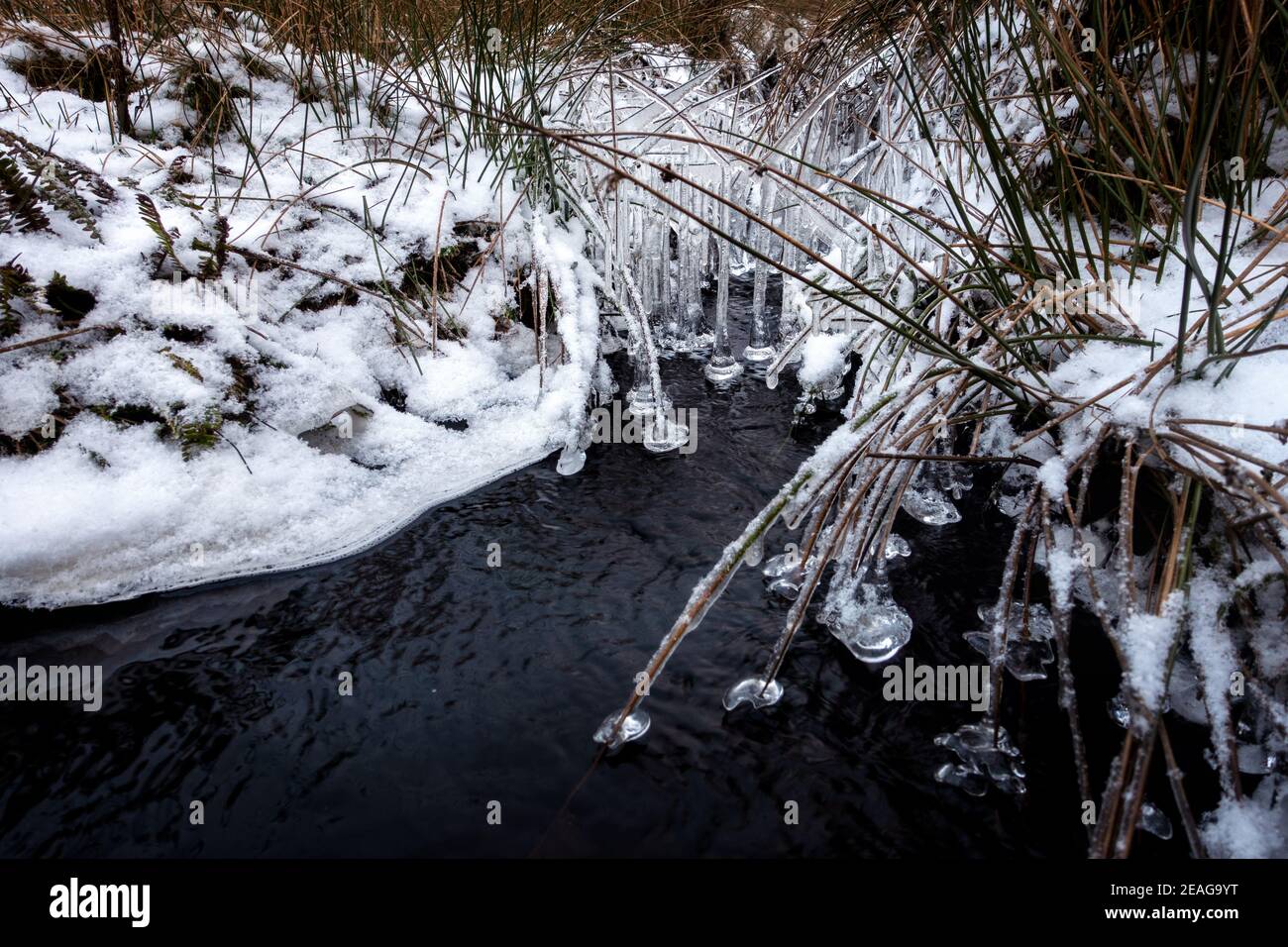 Stunningly beautiful ice formations in Storm Darcy - iclcles hang over a stream on snowy Burley Moor, Ilkley, West Yorkshire, UK Stock Photo