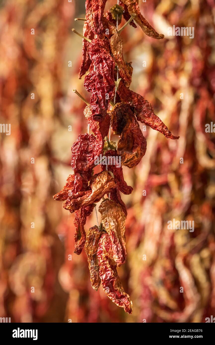 Bunch of chili hi-res stock photography and images - Alamy